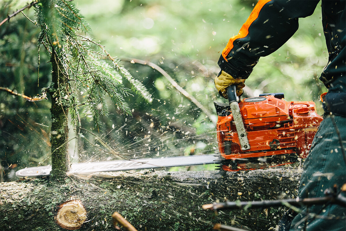 MOTOSEGA ECHO CS 621 SX - immagine 4