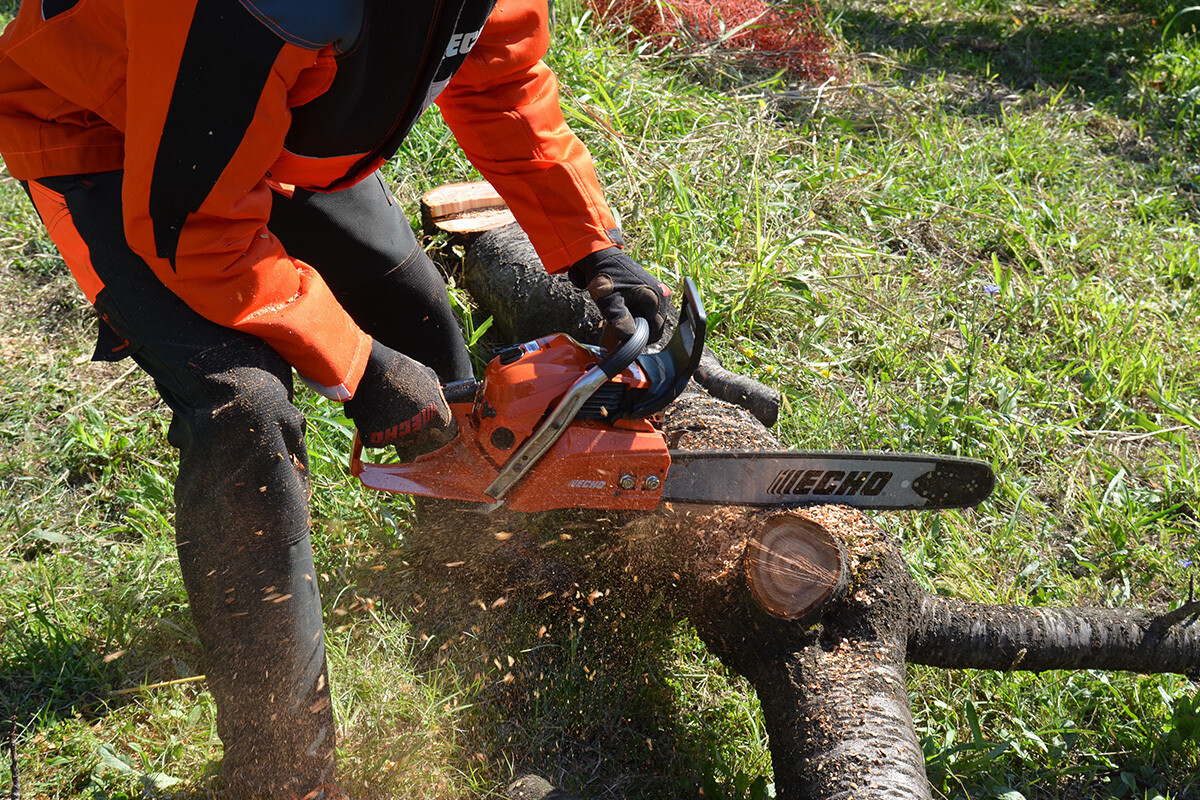 MOTOSEGA ECHO CS 501 SX - immagine 2