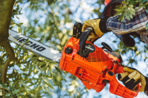 MOTOSEGA ECHO CS 362 WES