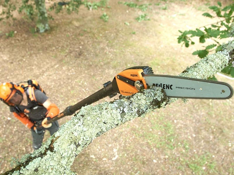 SEGHETTO SELION T 220-300 EVO - immagine 3