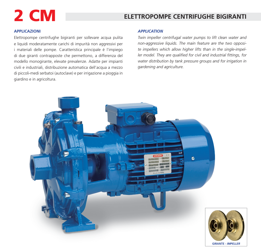 ELETTROPOMPA SPERONI 2 CM 25/160BC - immagine 2
