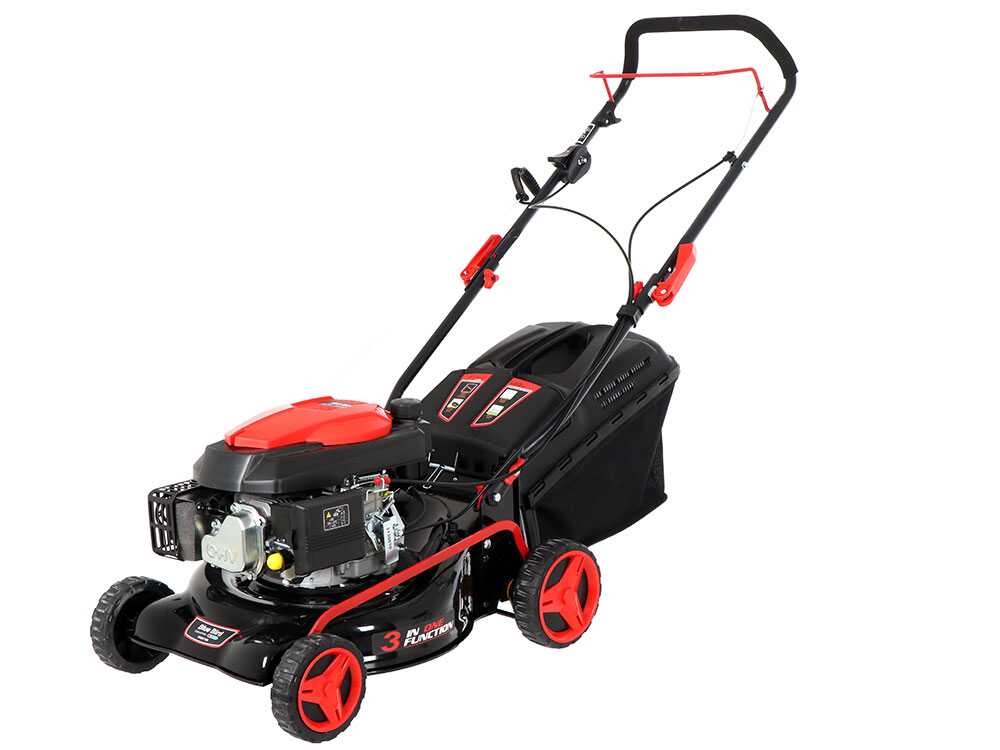 RASAERBA SPRINT B42 BLUEBIRD - immagine 2