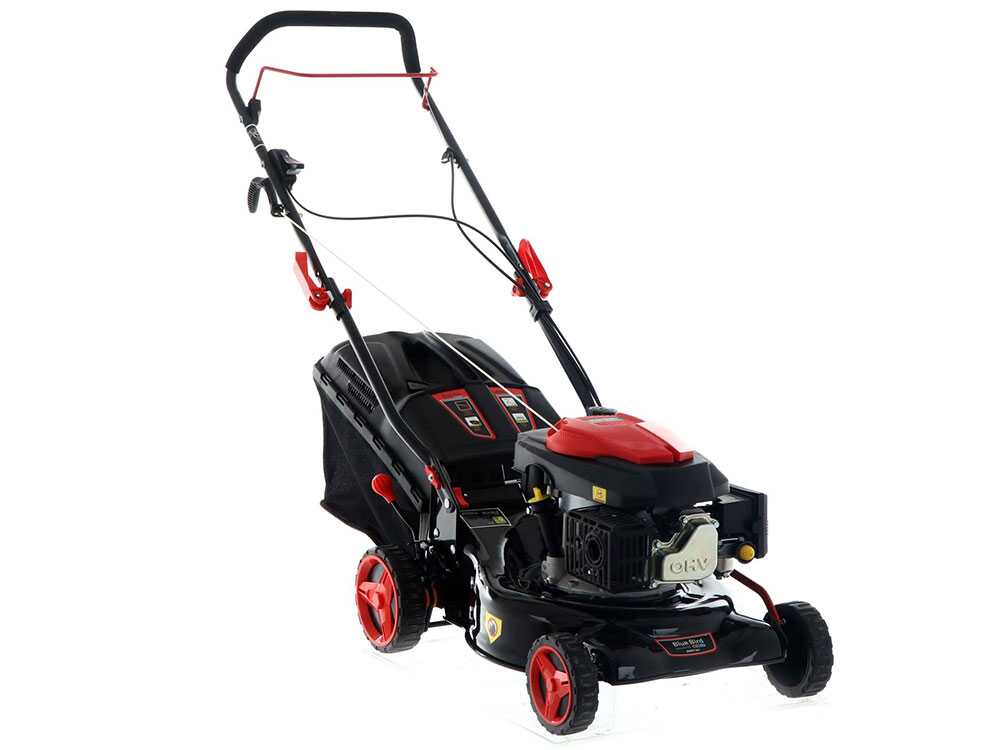 RASAERBA SPRINT B42 BLUEBIRD - immagine 5