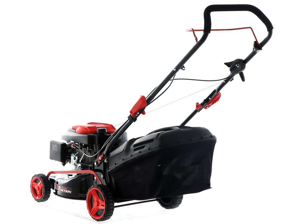 RASAERBA SPRINT B42 BLUEBIRD - immagine 4