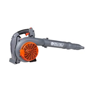 SOFFIATORE BV 250 OLEO MAC